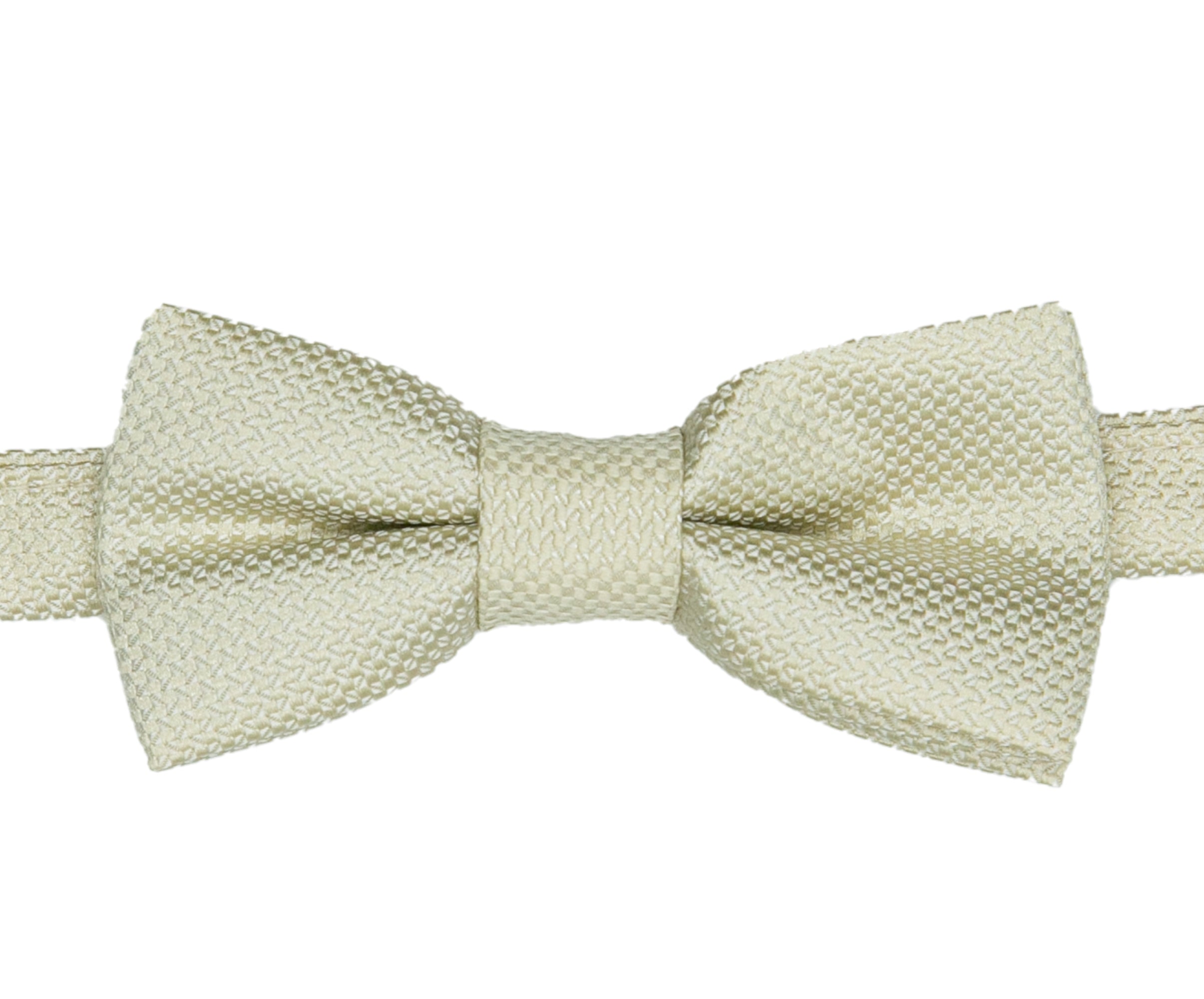 Boys' Pre-Tied Jacquard Dickie Bow Tie Neckwear - Beige