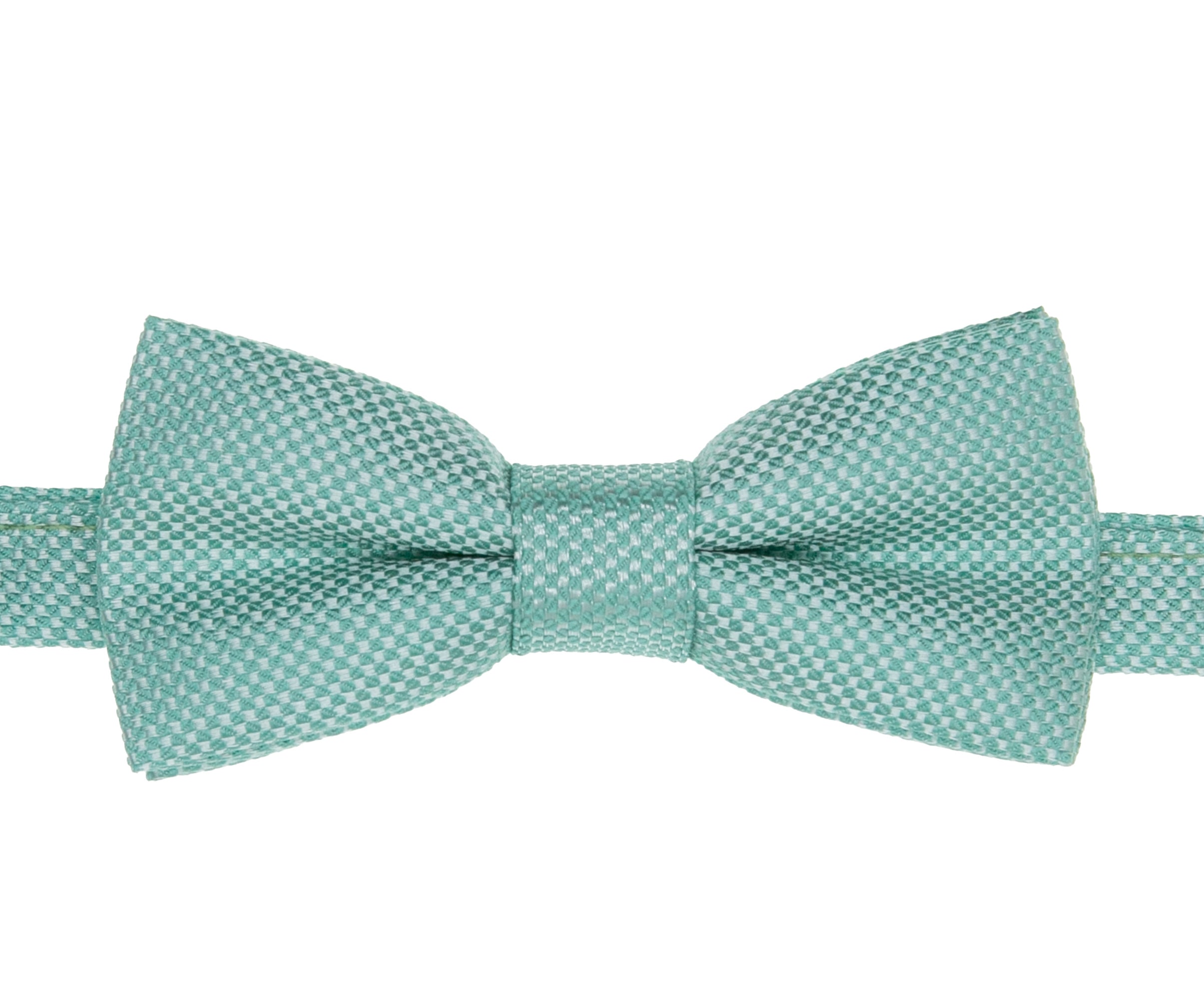 Boys' Pre-Tied Jacquard Dickie Bow Tie Neckwear - Mint Blue