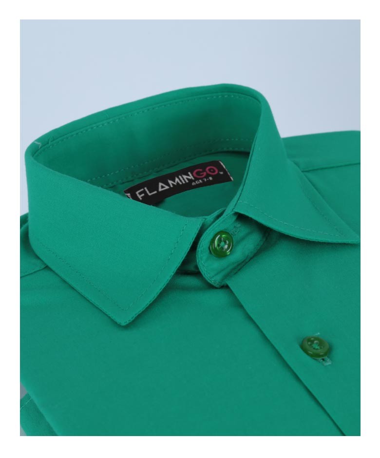 Boys Cotton Blend Formal Shirt - Dark Green