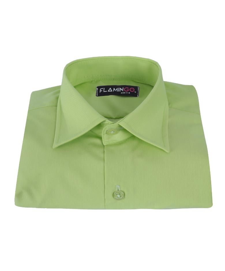Boys Cotton Blend Formal Shirt - Pistachio Green