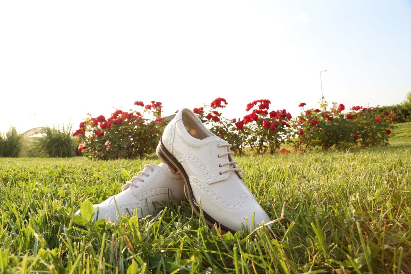 Boys Derby Brogue Lace Up Dress Shoes - Ivory